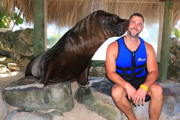 Swim with Dolphins in Punta Cana - Image 4