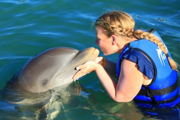 Swim with Dolphins in Punta Cana - Image 3