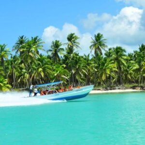 Private Saona Island Tour by Speedboat