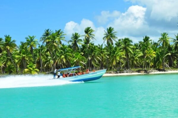 Private Saona Island Tour by Speedboat