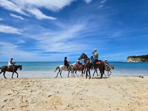 Punta Cana Horseback Riding Tour – Beach & Mountain Adventure - Image 3