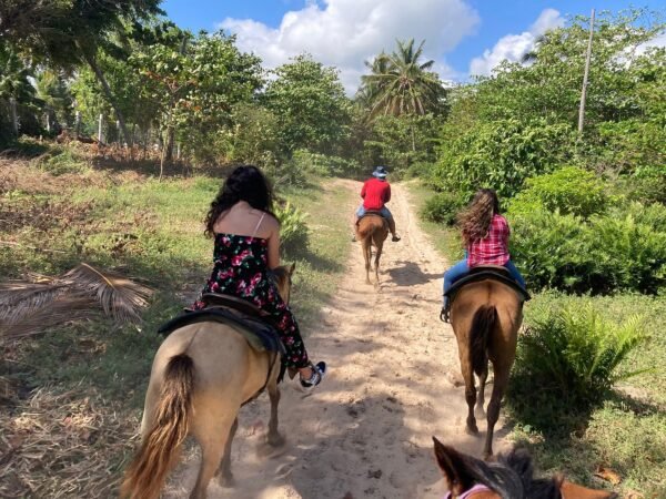 Punta Cana Horseback Riding Tour – Beach & Mountain Adventure - Image 6