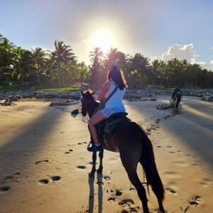 Punta Cana Horseback Riding Tour – Beach & Mountain Adventure
