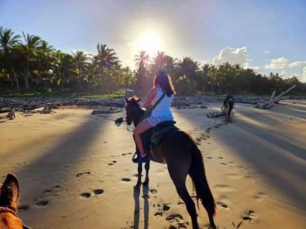 Punta Cana Horseback Riding Tour – Beach & Mountain Adventure