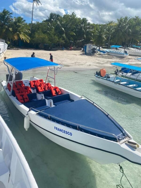 Private Saona Island Tour by Speedboat - Image 2