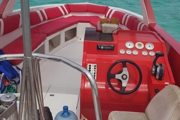 Punta Cana Parasailing Tour - Image 3