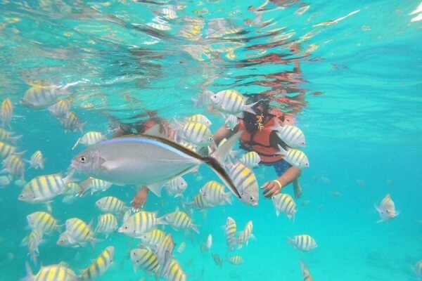 Catalina Island Tour from Punta Cana – Snorkeling, Boat Trip & Beach Day - Image 3
