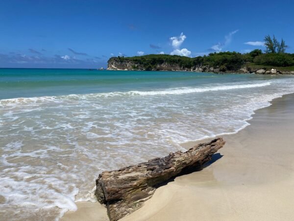 Punta Cana Buggy Tour - Image 7