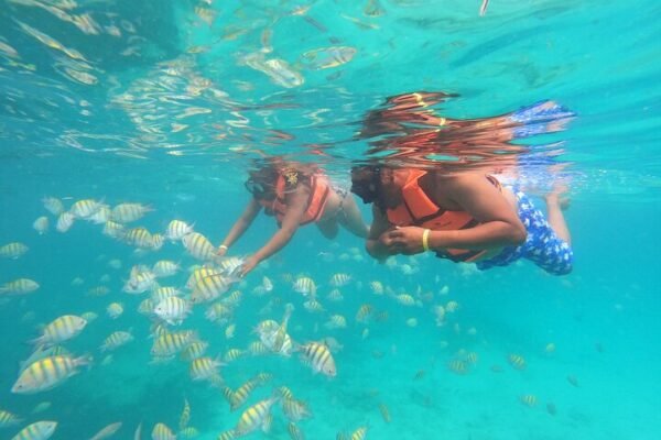 Catalina Island Private Tour Punta Cana - Image 4