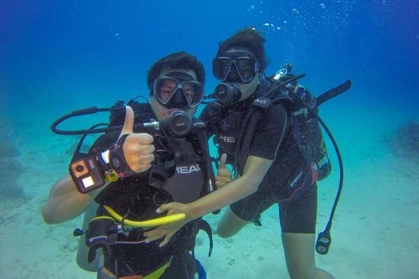 Scuba Diving in Catalina - Image 3