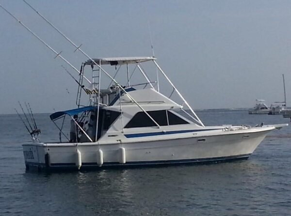Deep Sea Fishing Punta Cana - Image 2
