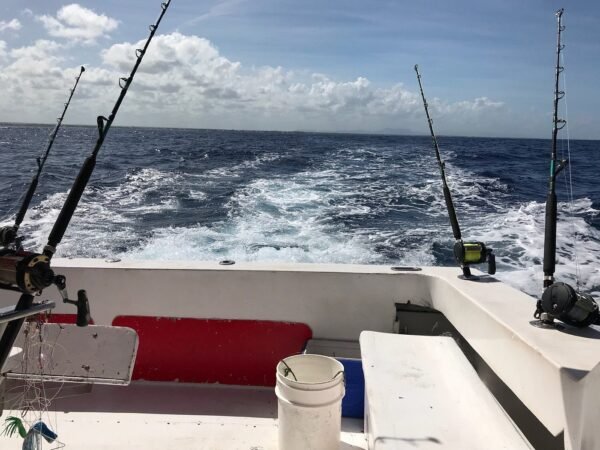 Deep Sea Fishing Punta Cana - Image 4