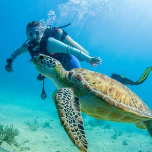 Scuba Diving