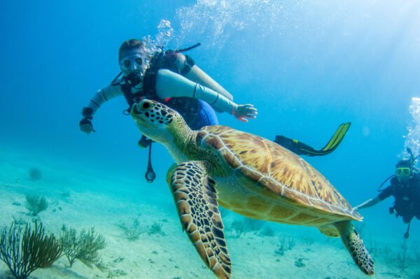 Scuba Diving