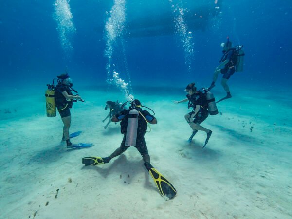 Scuba Diving - Image 3
