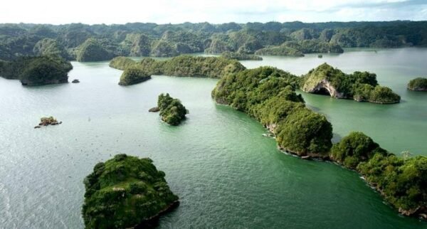 Los Haitises National Park Tour from Punta Cana