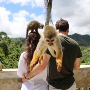 Monkey Island Tour in Punta Cana