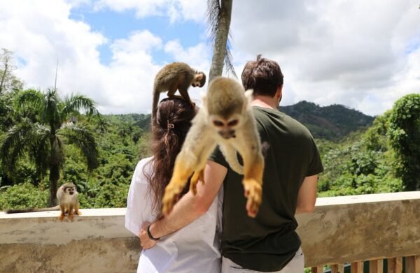 Monkey Island Tour in Punta Cana