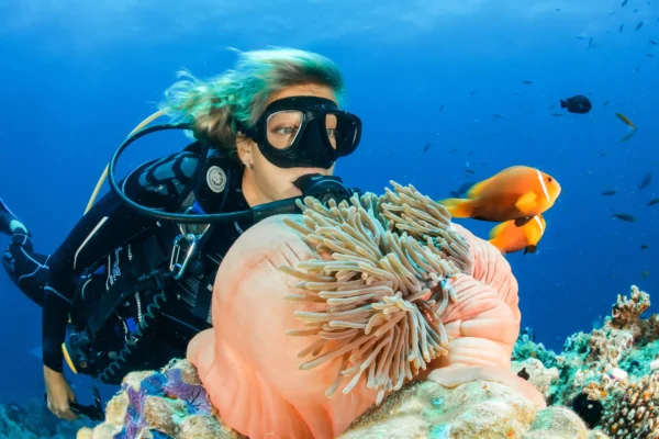 Scuba Diving - Image 4