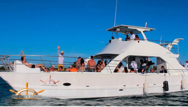 Saona Island Semi Private Tour – Canto de la Playa & Catamaran Party - Image 6