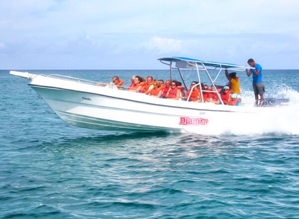 Saona Island Semi Private Tour – Canto de la Playa & Catamaran Party - Image 2