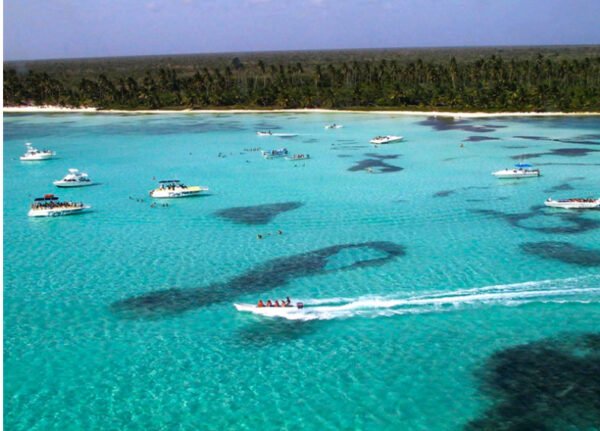 Saona Island Semi Private Tour – Canto de la Playa & Catamaran Party - Image 12