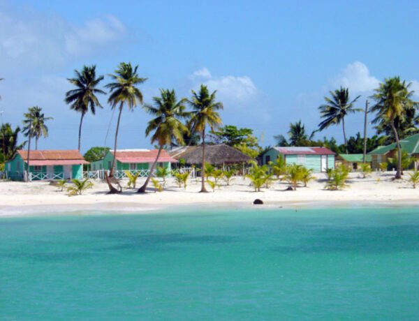 Saona Island Semi Private Tour – Canto de la Playa & Catamaran Party - Image 11