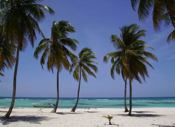 Saona Island Semi Private Tour – Canto de la Playa & Catamaran Party - Image 9