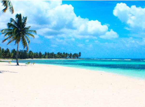 Saona Island Semi Private Tour – Canto de la Playa & Catamaran Party - Image 8