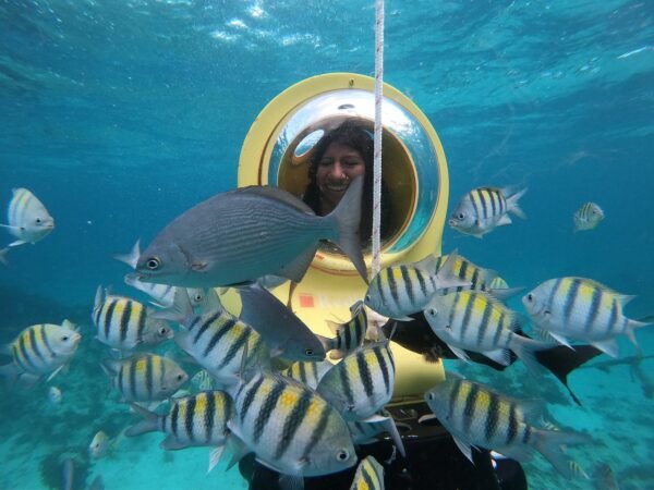 Scuba Doo Punta Cana – Personal Underwater Scooter Adventure - Image 3